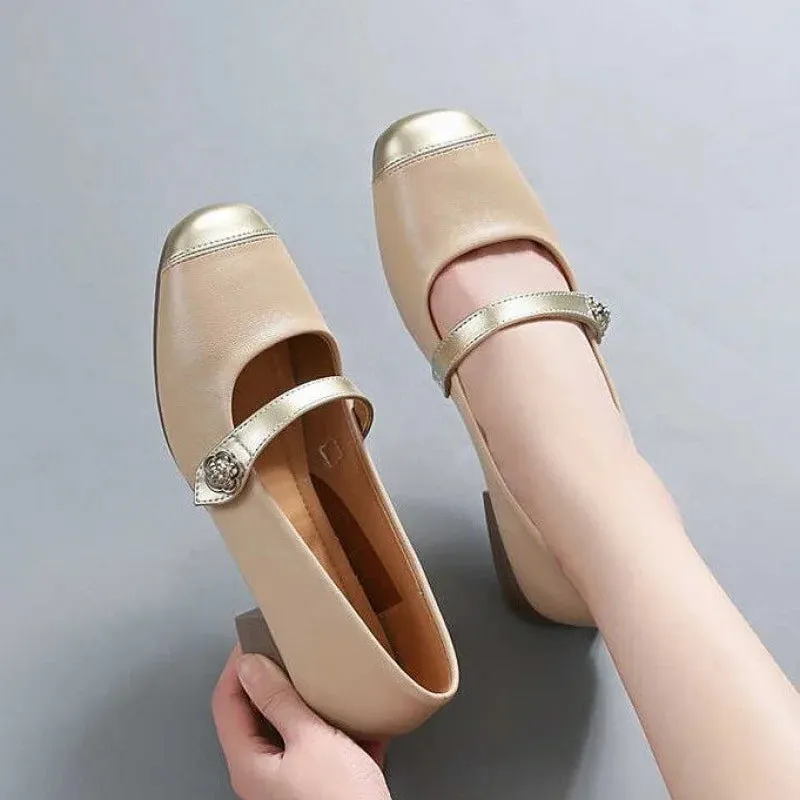 Advbridge French Style Thick Low Heel Women's Shoes For Spring/autumn 2024 New Shallow Mouth Fashionable Women's Single Shoes