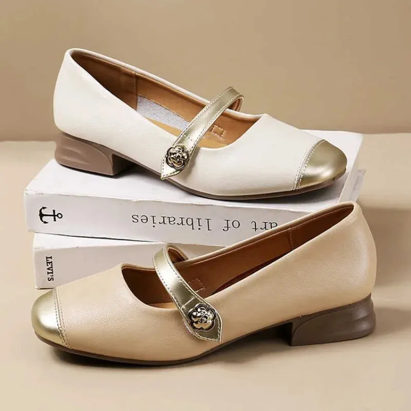 Advbridge French Style Thick Low Heel Women's Shoes For Spring/autumn 2024 New Shallow Mouth Fashionable Women's Single Shoes