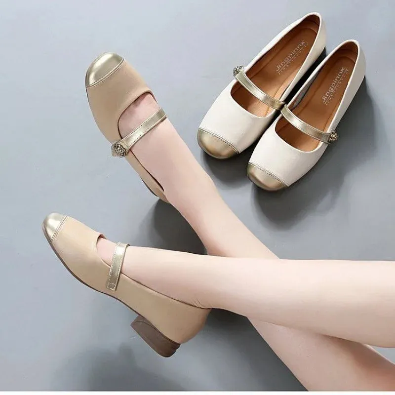 Advbridge French Style Thick Low Heel Women's Shoes For Spring/autumn 2024 New Shallow Mouth Fashionable Women's Single Shoes