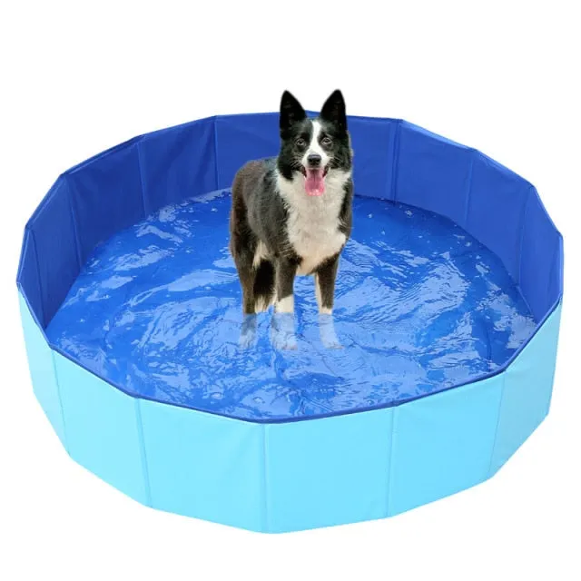 Dog Swimming Pool (Foldable)