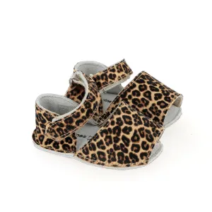 Frailera Baby Mini Leo