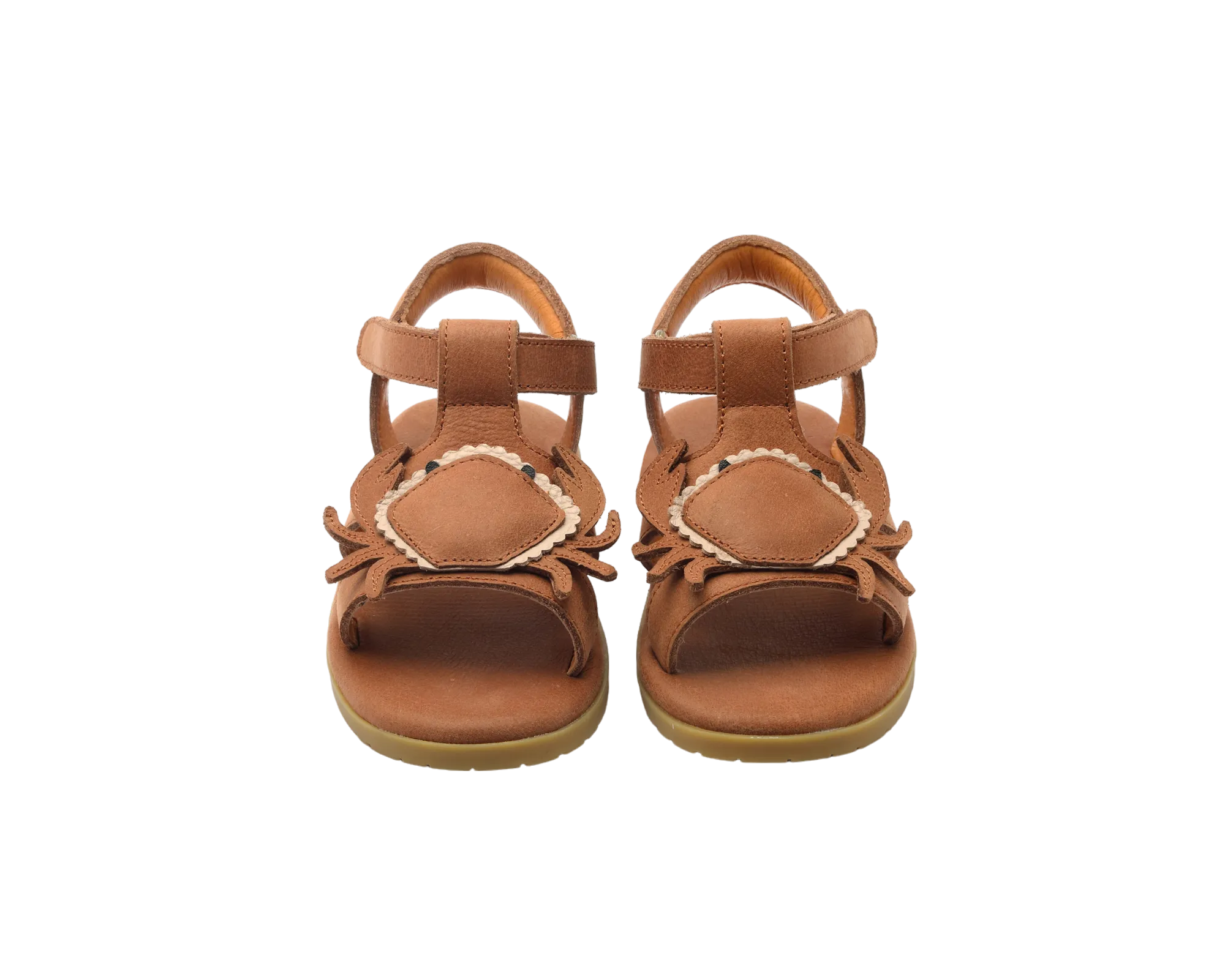 Lee Sea | Crab | Walnut Leather