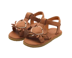 Lee Sea | Crab | Walnut Leather