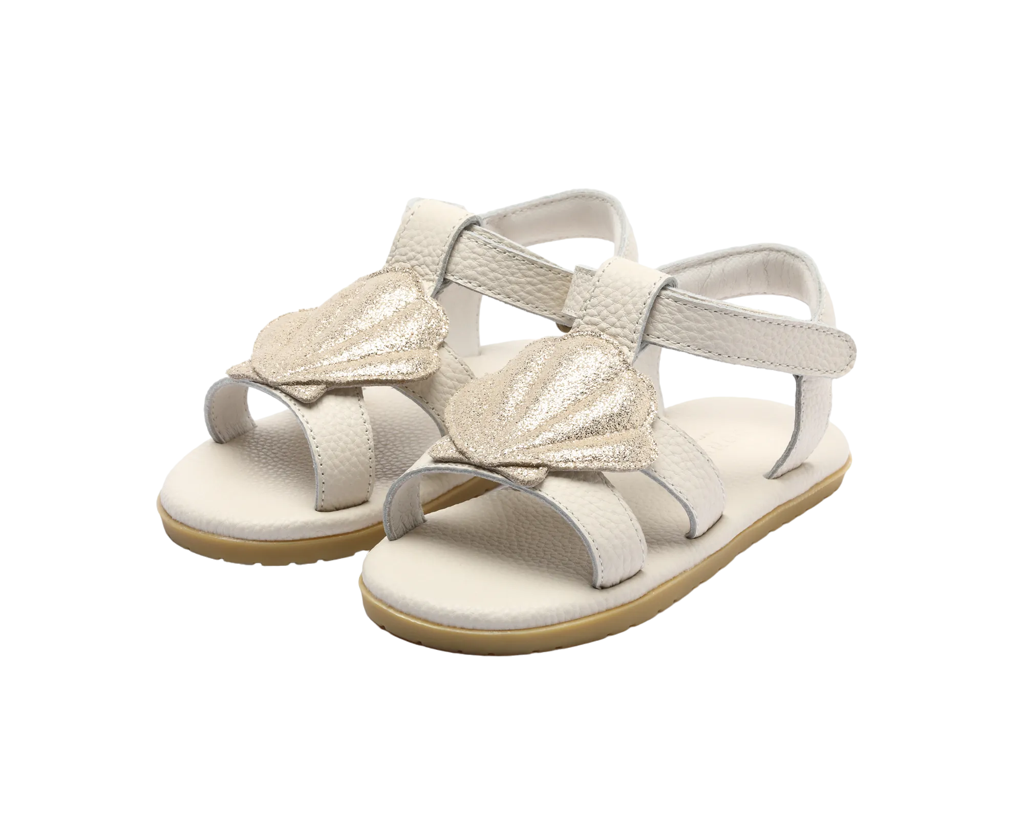 Lee Sea | Scallop | Off White Leather